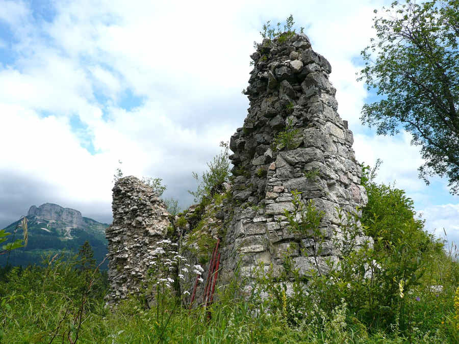 Burg Pflindsberg