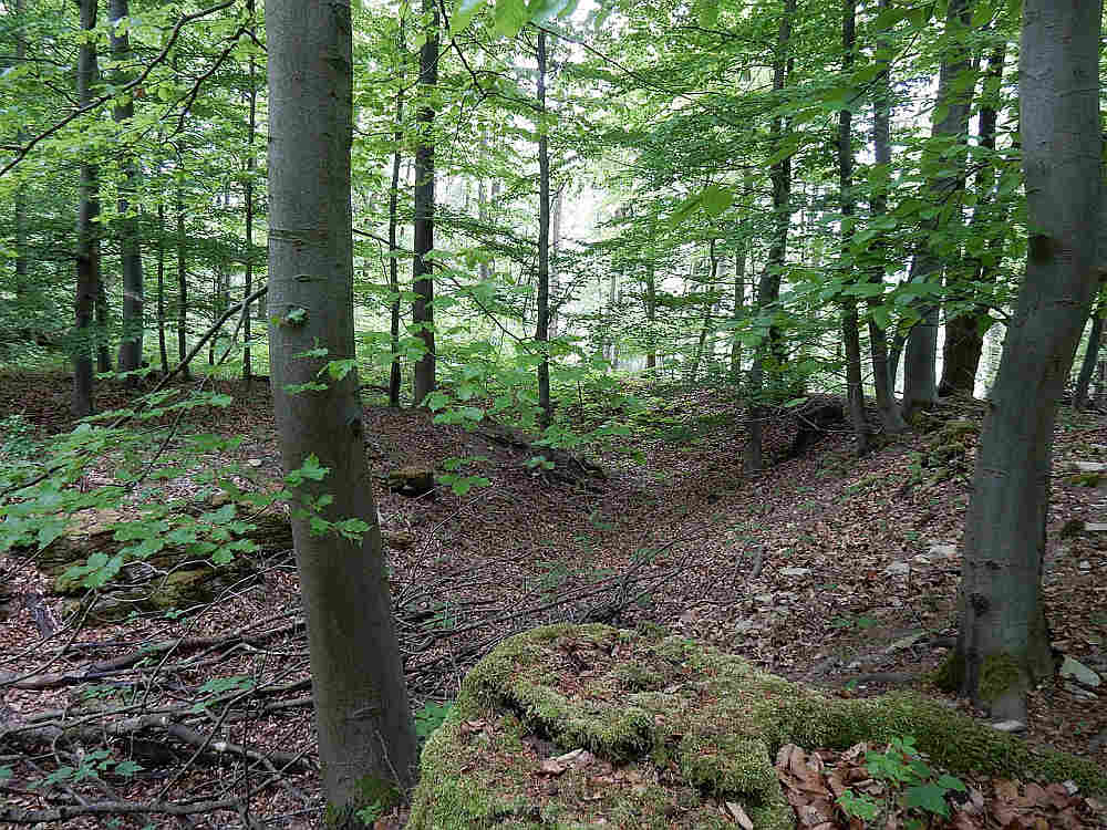 Burg Vienenburg